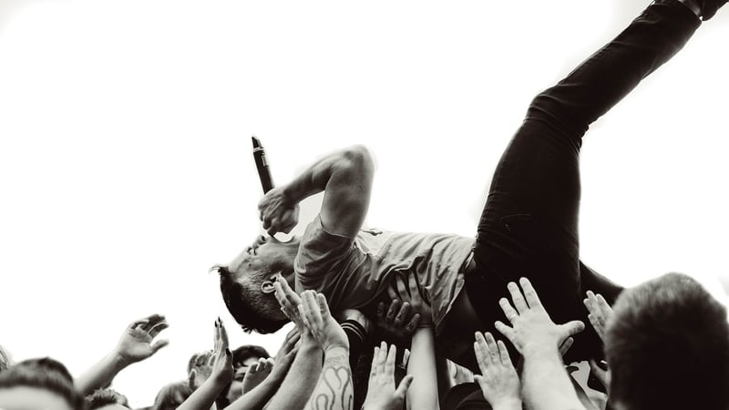 Fans at a concert